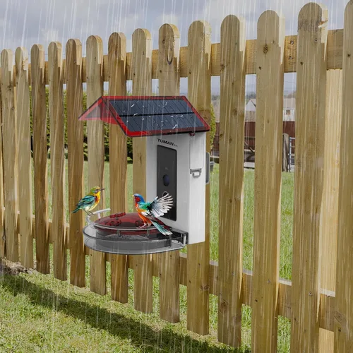 Miniatura 6 de Comedero inteligente para colibríes con cámara de video HD de 1080P, vista de 130°, reconocimiento de IA, control de aplicación, energía solar