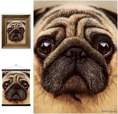 Miniatura 95 de Impresiones de arte de pared lenticular 3D LiveLife - El amor de un padre de Deluxebase. Póster 3D de león sin marco. Decoración de pared perfecta.