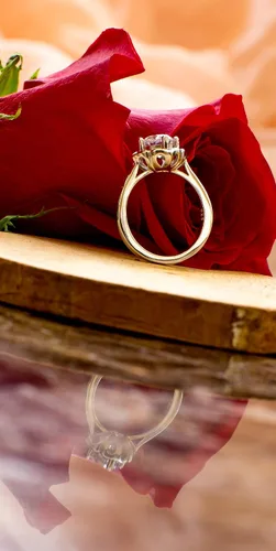 Miniatura 6 de BORUO Anillo de plata de ley 925, circonita cúbica, anillo de compromiso de eternidad, anillo de boda, tamaño 4 a 12