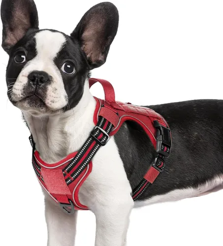 Miniatura 12 de rabbitgoo - Arnés para perros pequeño sin tirones, chaleco táctico de servicio con Molle y asa de control, arnés militar ajustable y reflectante