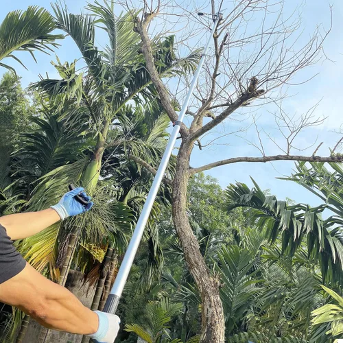 Miniatura 6 de Sierra telescópica para árbol de 5 a 13 pies Mango largo extensible, cortador de ramas, podadores, recolector de frutas