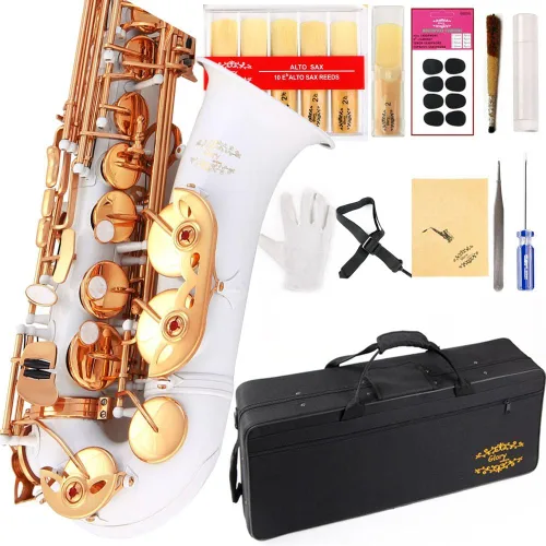 Miniatura 10 de Kit de cuidado para saxofón con 11 reeds, 8 para saxofón alto cojines, funda, Glory E Flat