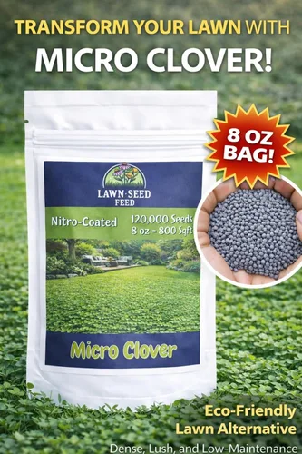 Miniatura 3 de Micro Clover - (8 onzas) recubierto de nitro, 120,000 semillas en total - Cubre hasta 1,000 pies cuadrados. Transforma tu césped con semillas
