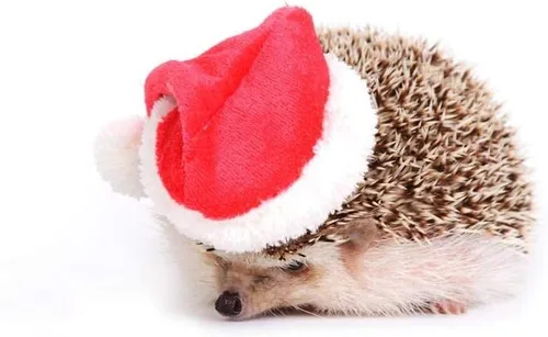 Miniatura 4 de Ropa de erizo, disfraz de Navidad, traje de Papá Noel, ropa de animal pequeño, forro polar hecho a mano, sudadera con capucha de erizo, accesorios