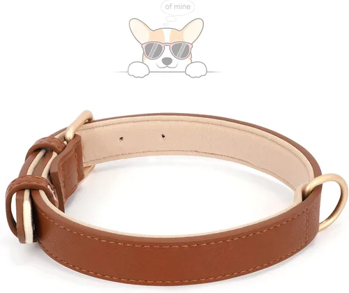 Miniatura 3 de WHIPPY Collar de cuero para perro pequeño y mediano, ajustable, suave, transpirable, de cuero, acolchado, con hebilla de aleación, resistente al