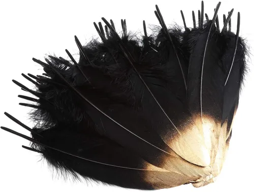 Miniatura 2 de 50 plumas de ganso bañadas en oro, coloridas plumas de ganso bañadas en plata, 6-8 pulgadas de longitud para manualidades, hogar, fiesta, boda