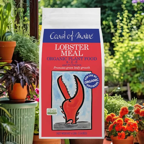 Miniatura 2 de Coast of Maine Harina de langosta, 4 libras (paquete de 2) alimento orgánico para plantas y calcio, con certificación OMRI, para crecimiento