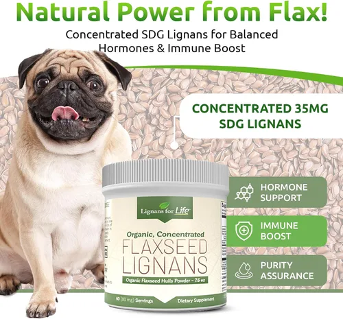 Miniatura 2 de Lignans for Life - Polvo natural de linaza molida a granel - Omega 3 y 6 antioxidantes rellenos de ácidos grasos con alto contenido de fibra - Apoya