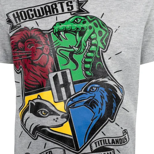 Miniatura 5 de Harry Potter Conjunto de camiseta y pantalones cortos de rizo francés