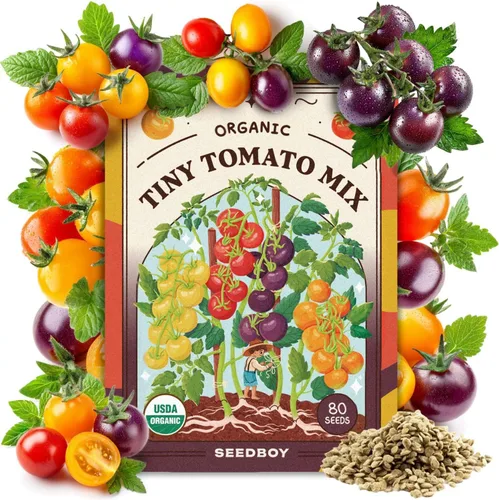 Miniatura 13 de Seedboy Semillas orgánicas de tomate Beefsteak arcoíris para plantar en interiores y exteriores, paquete de semillas de vegetales sin OMG