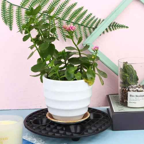 Miniatura 4 de 4 elevadores de macetas, soporte resistente, soporte redondo negro para plantas, elevadores de plástico de 8 pulgadas para interiores y exteriores