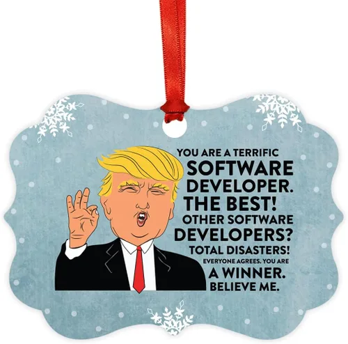 Miniatura 147 de Andaz Press Presidente Donald Trump Fancy Frame Recuerdo Adorno de Navidad Regalo de broma Ejecutivo de Cuenta, 1 paquete, Divertidas Ideas