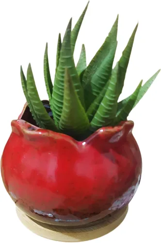 Miniatura 70 de Bonita maceta circular de cerámica para decoración del hogar y jardín, suculentas, cactus, maceta no incluida (azul, 3.19 pulgadas)