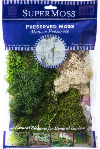 Miniatura 8 de SuperMoss (23309) Mezcla de musgo – Musgo decorativo de alta calidad para manualidades, terrarios, decoración de bodas y mesa, 80.75 pulgadas