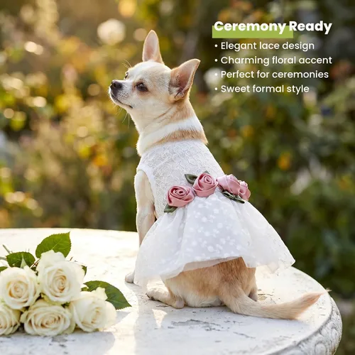 Miniatura 6 de Fitwarm Vestido de boda de lujo con encaje rosa para perro, ropa formal, XXS