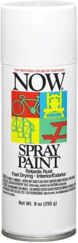Krylon 21212 Now - Pintura en aerosol de 9 onzas, color blanco brillante