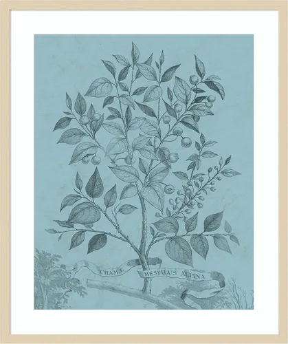 Miniatura 7 de Amanti Art Vision Studio - Póster enmarcado de 24 x 20 pulgadas, diseño botánico en V verde azulado por Vision Studio, arte de pared de naturaleza