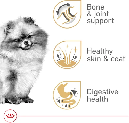Miniatura 4 de Royal Canin Breed Health Nutrition Pomeranian Adulto Loaf en Salsa Comida para Perros, 3 oz (Paquete de 24)