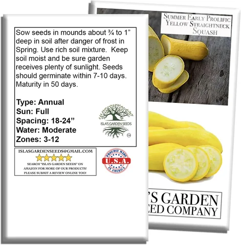 Miniatura 7 de Semillas de calabaza de verano de cuello recto amarillo prolífico temprano para plantar, más de 50 semillas vegetales tradicionales por paquete