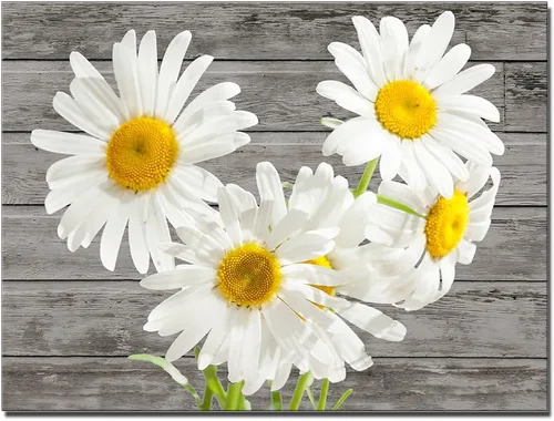 TAOMI Arte de pared de margaritas con estampado de flores blancas para dormitorio, póster floral amarillo en escala de grises, imagen de grano de