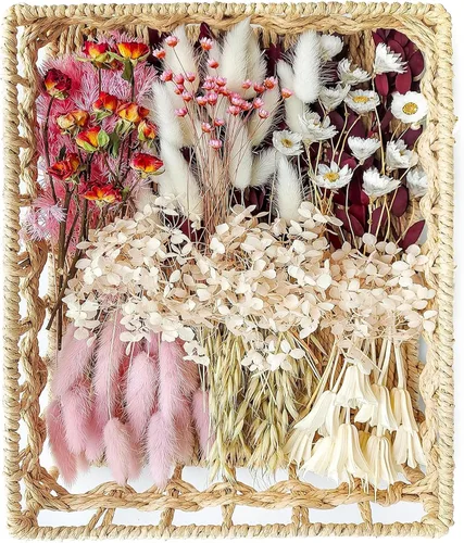 Miniatura 8 de Juego de flores secas naturales, flores secas a granel con tallos, margaritas secas, hierba de cola de conejo seca, mini ramo (blanco)