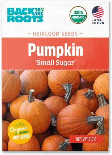 Paquete de semillas - Calabaza 'Azúcar pequeño' 0.09 oz