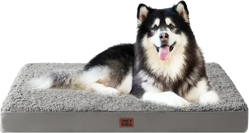 EHEYCIGA Cama ortopédica para perros de espuma, XXL, 47 pulgadas de largo x 29 pulgadas de ancho x 3.5 pulgadas de alto, gris claro