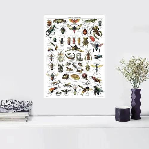 Miniatura 5 de Paquete de 4 pósteres vintage de insectos, gráficos de referencia de identificación de entomología, volúmenes 1, 2 y 3 y artrópodos