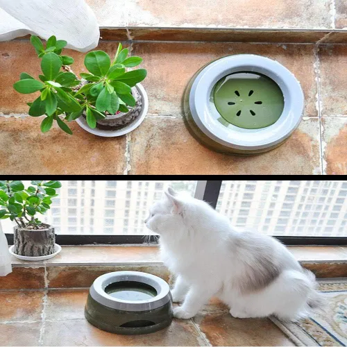 Miniatura 6 de Love Dream Cuenco de agua para perros sin derrames, alimentador lento de agua para perros, sin goteo, dispensador de agua para mascotas, 25 onzas
