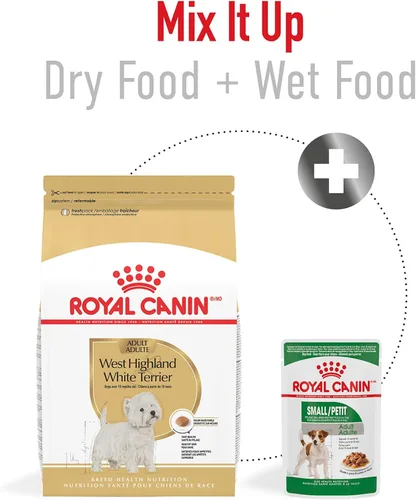 Miniatura 4 de Royal Canin Breed Health Nutrition West Highland White Terrier - Alimento seco para perros adultos, bolsa de 10 libras