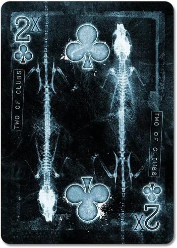 Miniatura 3 de USPCC Bicicleta Karnival Xtreme Playing Cards (Ltd Ed) Big Blind Media