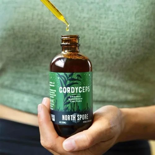 Miniatura 6 de North Spore Cordyceps - Tintura de extracto de hongo, gotas diarias líquidas para energía, resistencia, rendimiento, Cordyceps Militaris orgánico