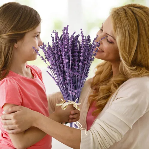 Miniatura 5 de Ramo de flores de lavanda púrpura secas Glicrili - Ramo de lavanda preservada y seca 15-17" para decoración de jarrones en casa, manualidades
