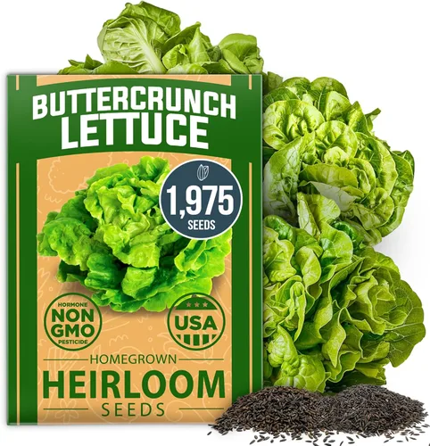 Miniatura 143 de HOME GROWN Mezcla de semillas germinantes de primera calidad, microgreens 118,200 semillas para cultivo en interiores, brócoli, alfalfa, rábano