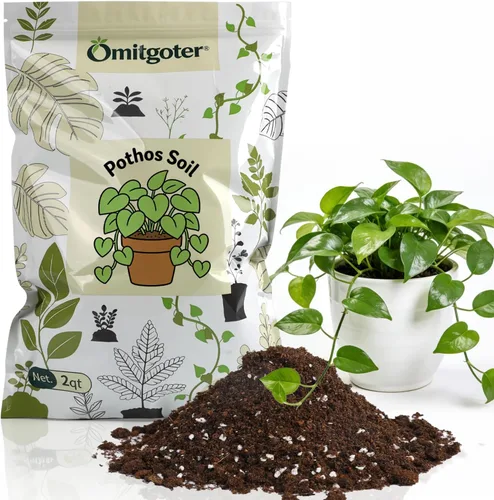 Miniatura 10 de Suelo natural puro para macetas para plantas de bambú de la suerte, 1 cuarto de galón, drenaje superior y transpirabilidad, suelo ideal para plantas