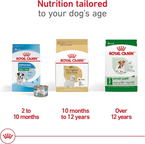 Miniatura 5 de Royal Canin Breed Health Nutrition West Highland White Terrier - Alimento seco para perros adultos, bolsa de 10 libras