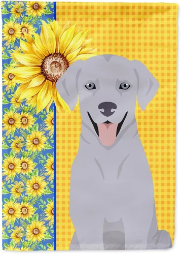 Miniatura 26 de Caroline's Treasures WDK5331CHF - Bandera de verano con diseño de girasoles rojos y blancos, manga grande, para porche, para colgar en la pared