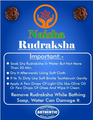 Miniatura 8 de Naisha Natural Rudraksh - 121 cuentas sueltas de Rudraksha Mala, cuentas de oración genuinas de meditación del Himalaya, cuentas Bodhi de 0.35-0.55