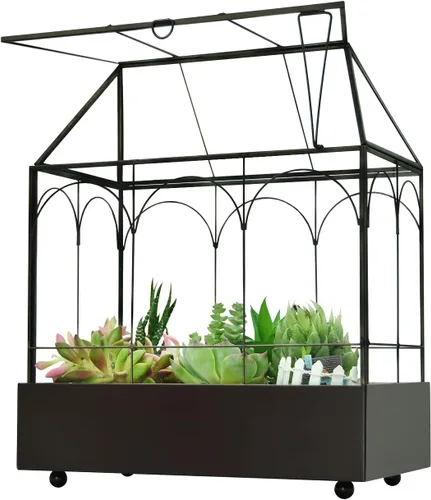 Terrario grande de cristal alto para plantas – Kit de terrario suculento con labio y bandeja de vidrio para invernadero para plantas de 9.5 x 5.7 x
