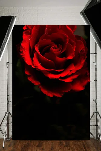 Miniatura 3 de Telón de fondo de fotografía negro rosa roja de 5 x 7 pies para retrato abstracto, sesión de fotos negra, fondo de fotos para adultos, retrato
