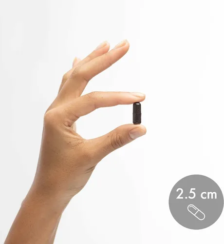 Miniatura 6 de Dr. Mercola Soporte ocular - Apoya la salud ocular y visual - con luteína, zeaxantina, astaxantina orgánica y grosella negra - Sin OMG, sin gluten