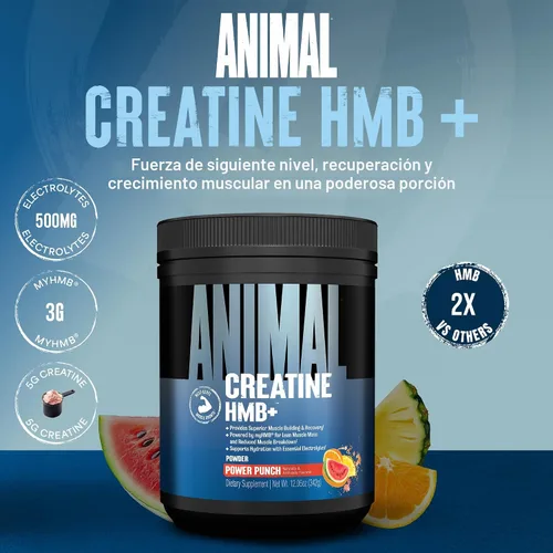 Miniatura 2 de Animal Creatina HMB en Polvo – 3g myHMB + 5g Creatina con Electrolitos para Recuperación y Energía Diaria – Sabor Power Punch, 30 Porciones