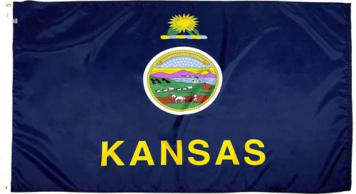 Miniatura 31 de FlagSource Bandera del estado de nailon de Iowa, fabricada en los Estados Unidos, 4 x 6 pies Iowa 4x6