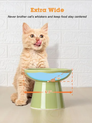 Miniatura 5 de LoeJan Juego de cuencos elevados de comida y agua para gatos, comedero de cerámica extra ancho y elevado, cuenco de alimentación a presión Verde