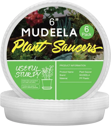 Miniatura 10 de MUDEELA Paquete de 6 platillos para plantas de 8 pulgadas, bandejas de plástico duraderas para interiores, platillo de plástico transparente, hecho