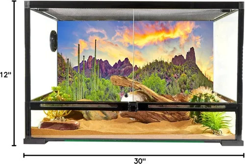 Miniatura 6 de YongFoto Fondo de fotos de poliéster con vista del desierto de cactus, arbusto verde, rocoso, morado, roca salvaje oeste, paisaje natural, fondo