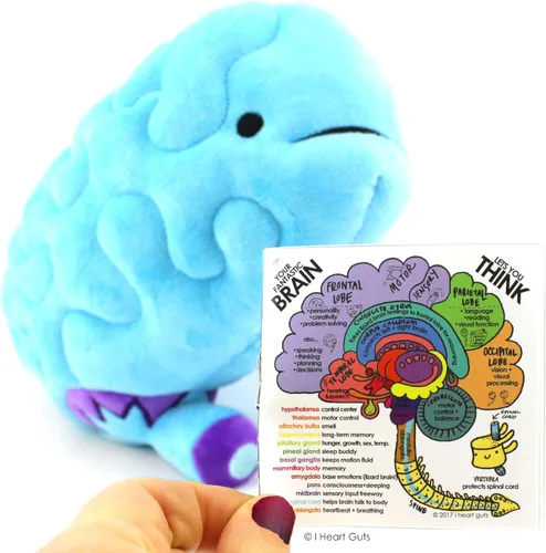 Miniatura 4 de Peluche de cerebro– ¡All You Need Is Lobe! - Serie I Heart Guts.
