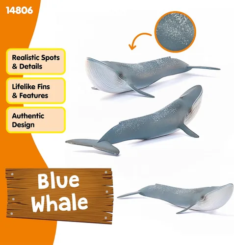 Miniatura 5 de Schleich Wild Life - Figurina realista de ballena azul, juguete de animal acuático auténtico y altamente detallado, duradero para la educación