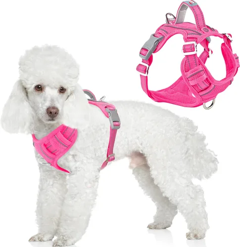 Miniatura 19 de BARKBAY Arnés para perro sin tirones con bolsillo para etiqueta de identificación, resistente, reflectante, fácil control para perros grandes