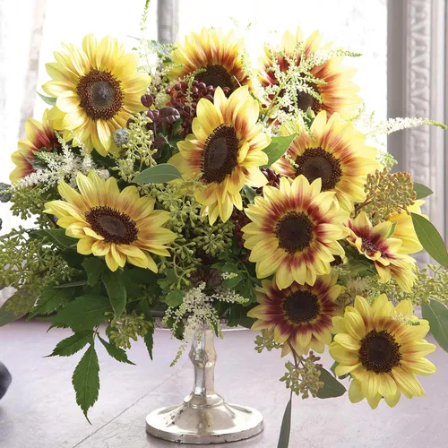 Miniatura 55 de Eden Brothers Semillas de girasol - Autumn Beauty